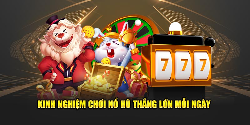 Top 7 Mẹo Cược Tại Nohu90 Giúp Bạn Tăng Cơ Hội Chiến Thắng