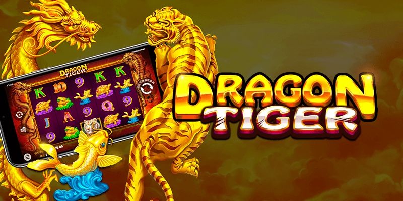 Các thao tác cá cược Dragon Tiger chuẩn chỉnh nhất